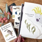 Children's Book | Kookaburra Kookaburra Children's Book | Kookaburra Kookaburra